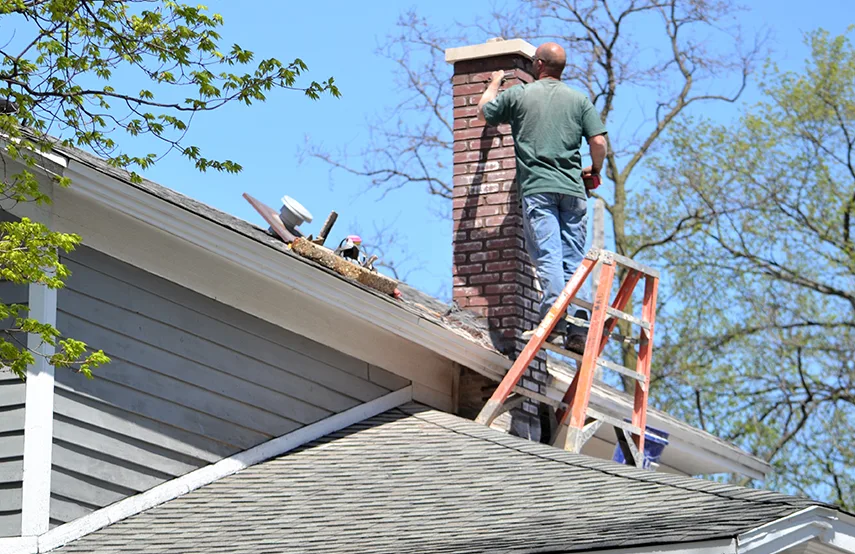 Chimney & Fireplace Inspections Services in Dalton, GA